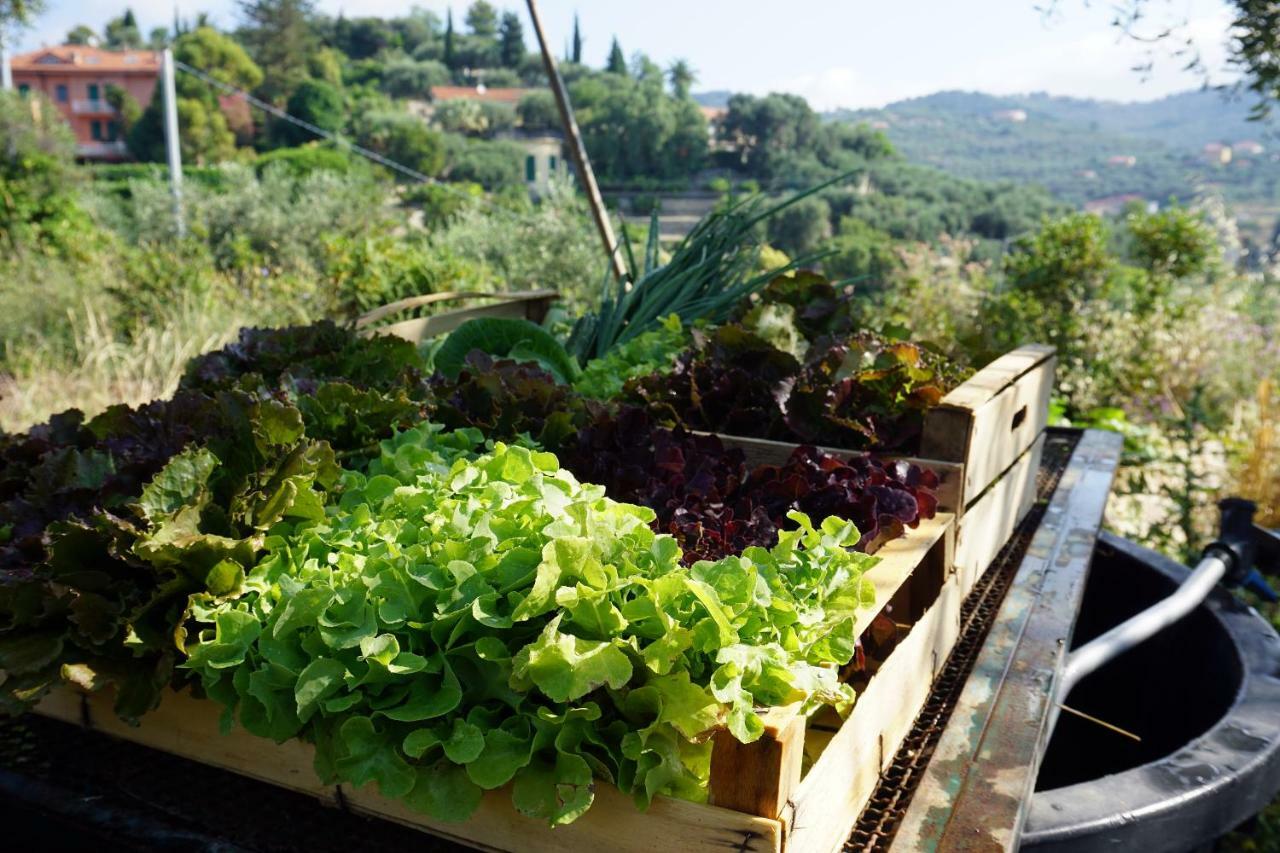 La Quercia Agriturismo Imperia Kültér fotó